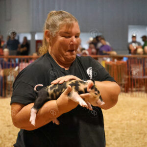 Old Timer's 4-H Swine Show
