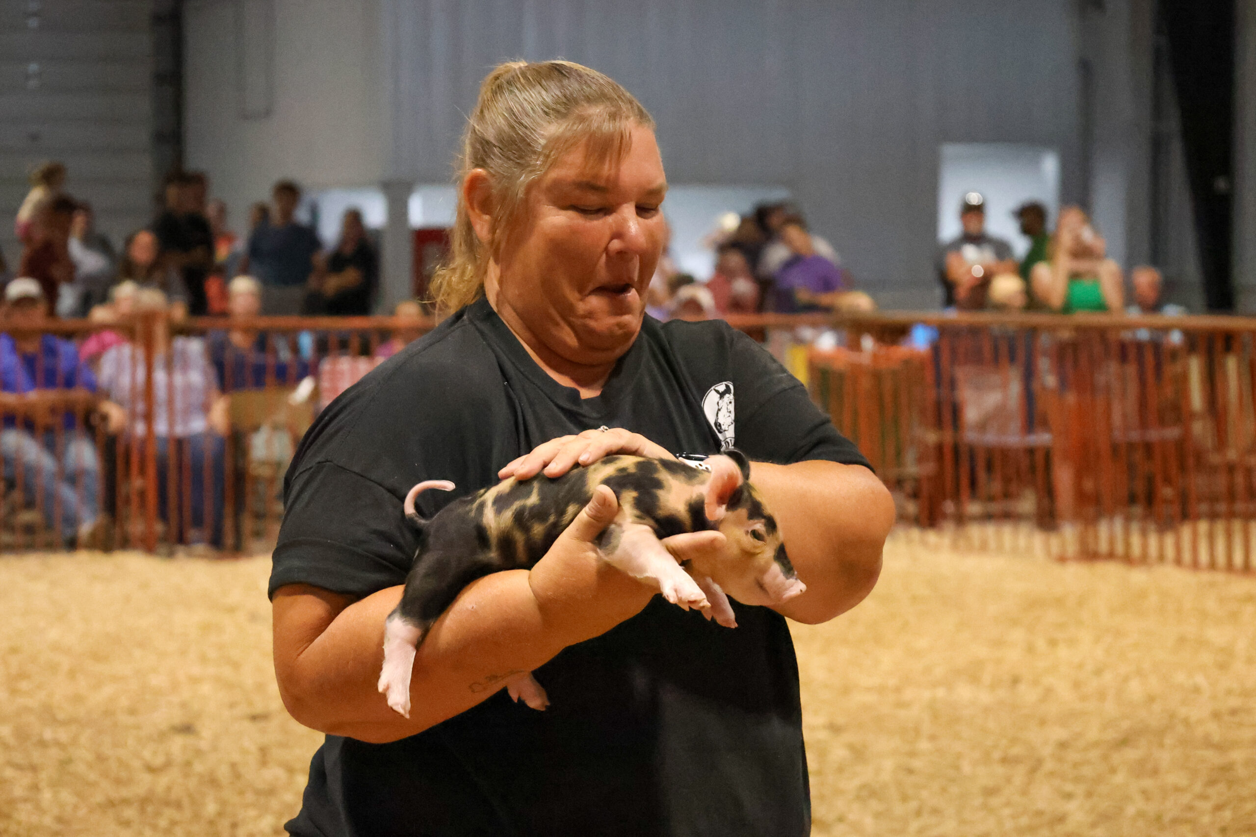 Old Timer's 4-H Swine Show