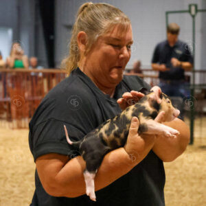 Old Timer's 4-H Swine Show