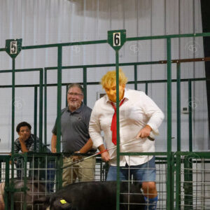 Old Timer's 4-H Swine Show