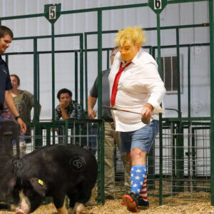 Old Timer's 4-H Swine Show