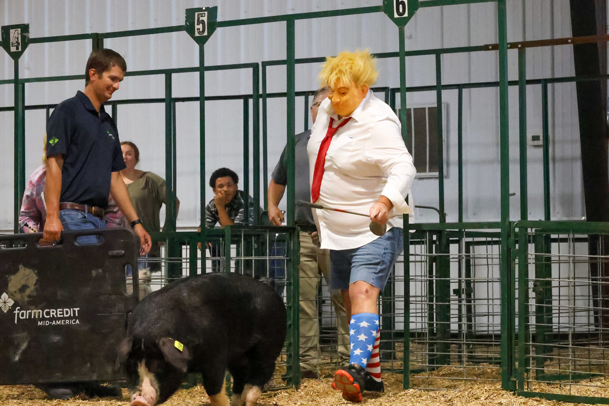 Old Timer's 4-H Swine Show