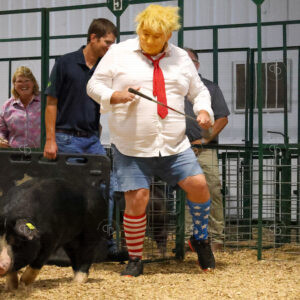 Old Timer's 4-H Swine Show