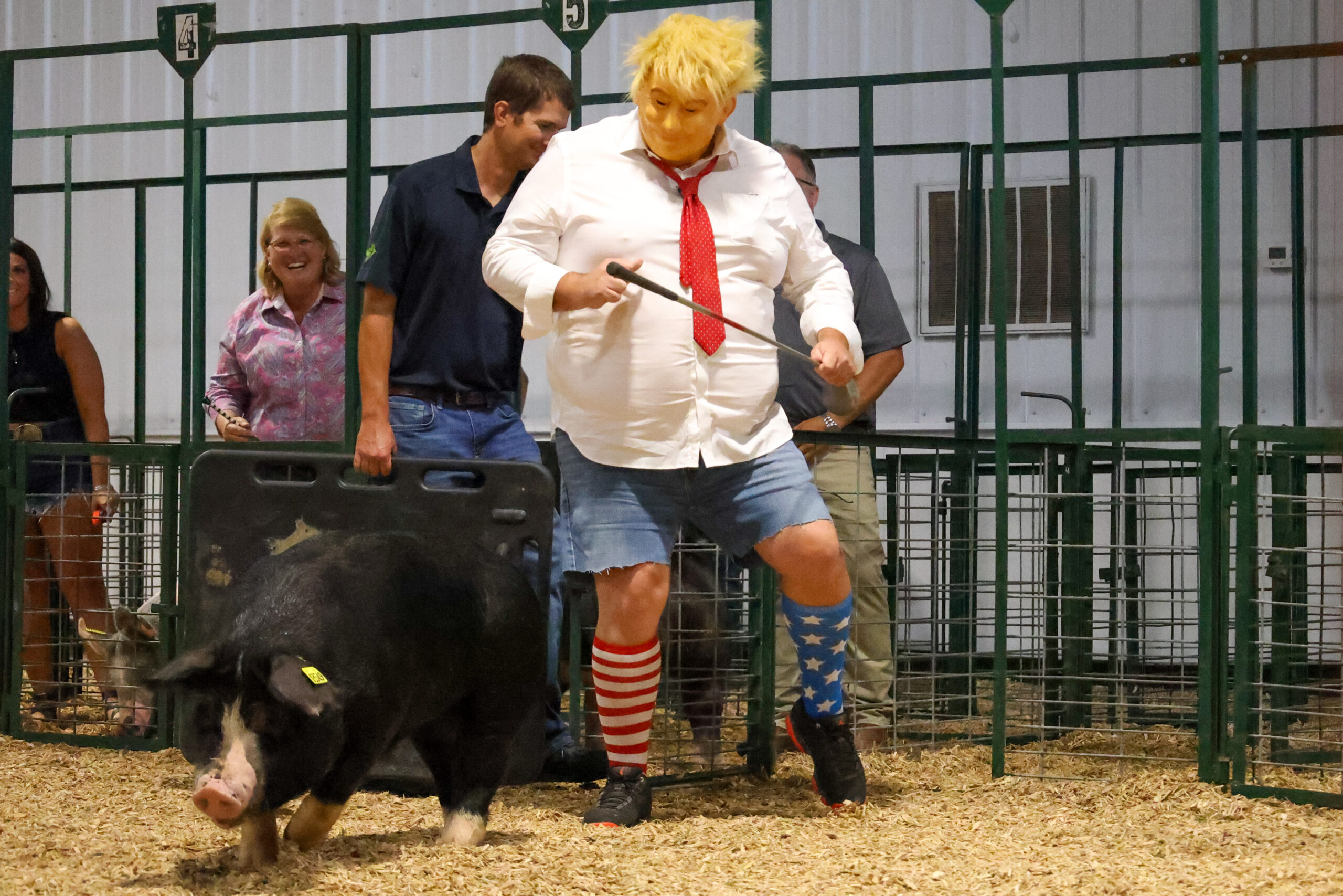 Old Timer's 4-H Swine Show