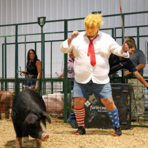 Old Timer's 4-H Swine Show