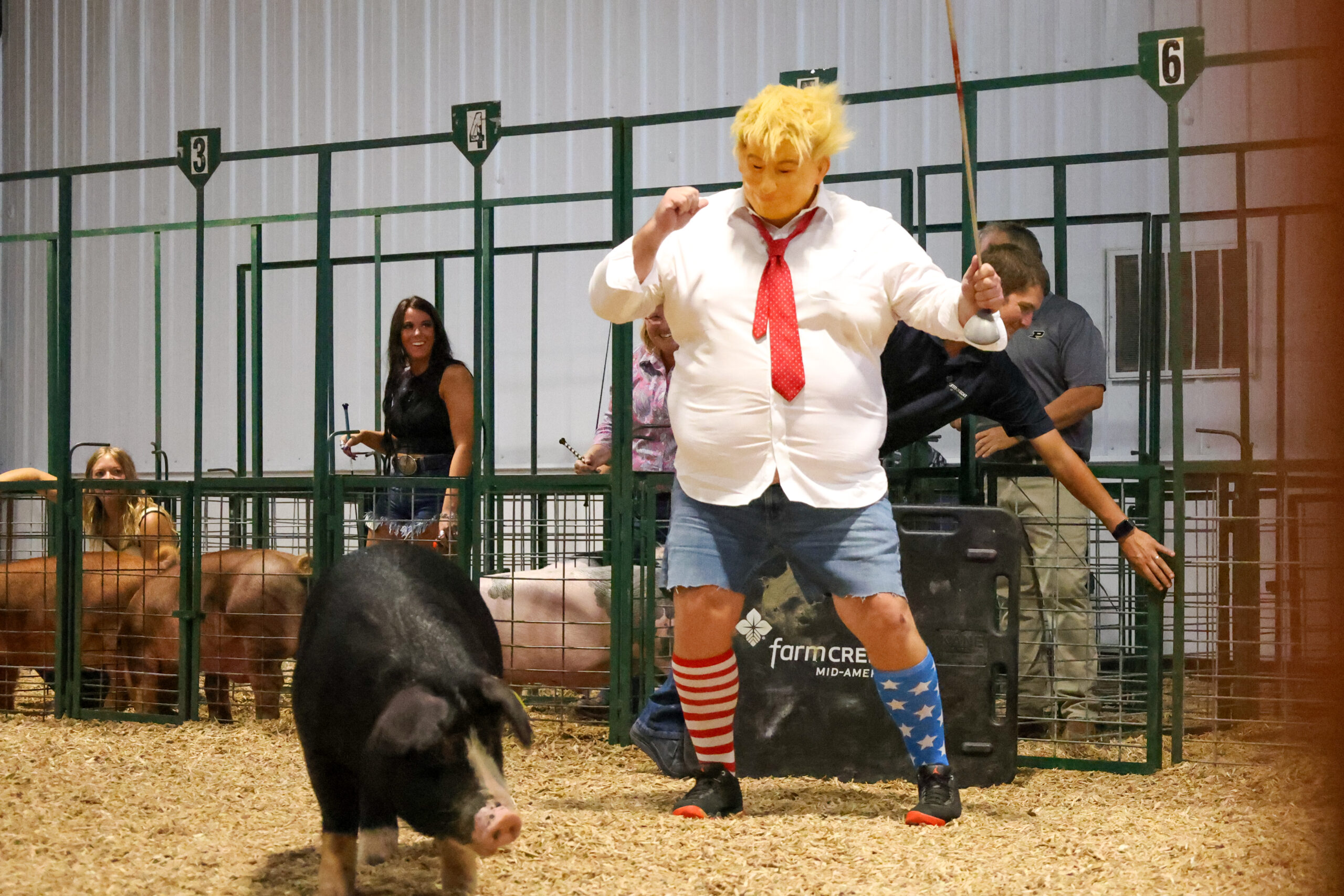 Old Timer's 4-H Swine Show