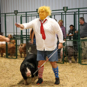 Old Timer's 4-H Swine Show