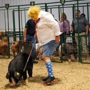 Old Timer's 4-H Swine Show