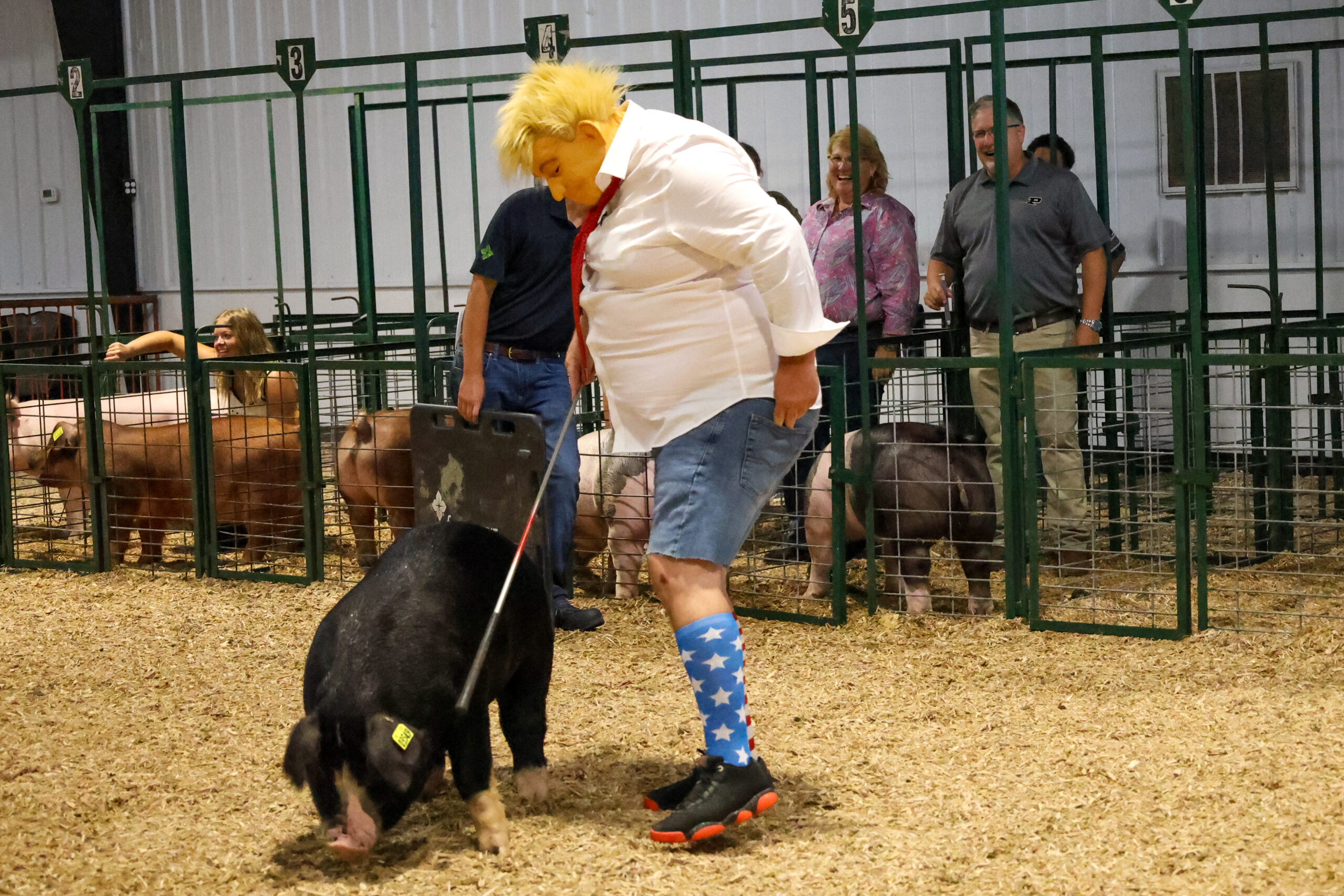 Old Timer's 4-H Swine Show