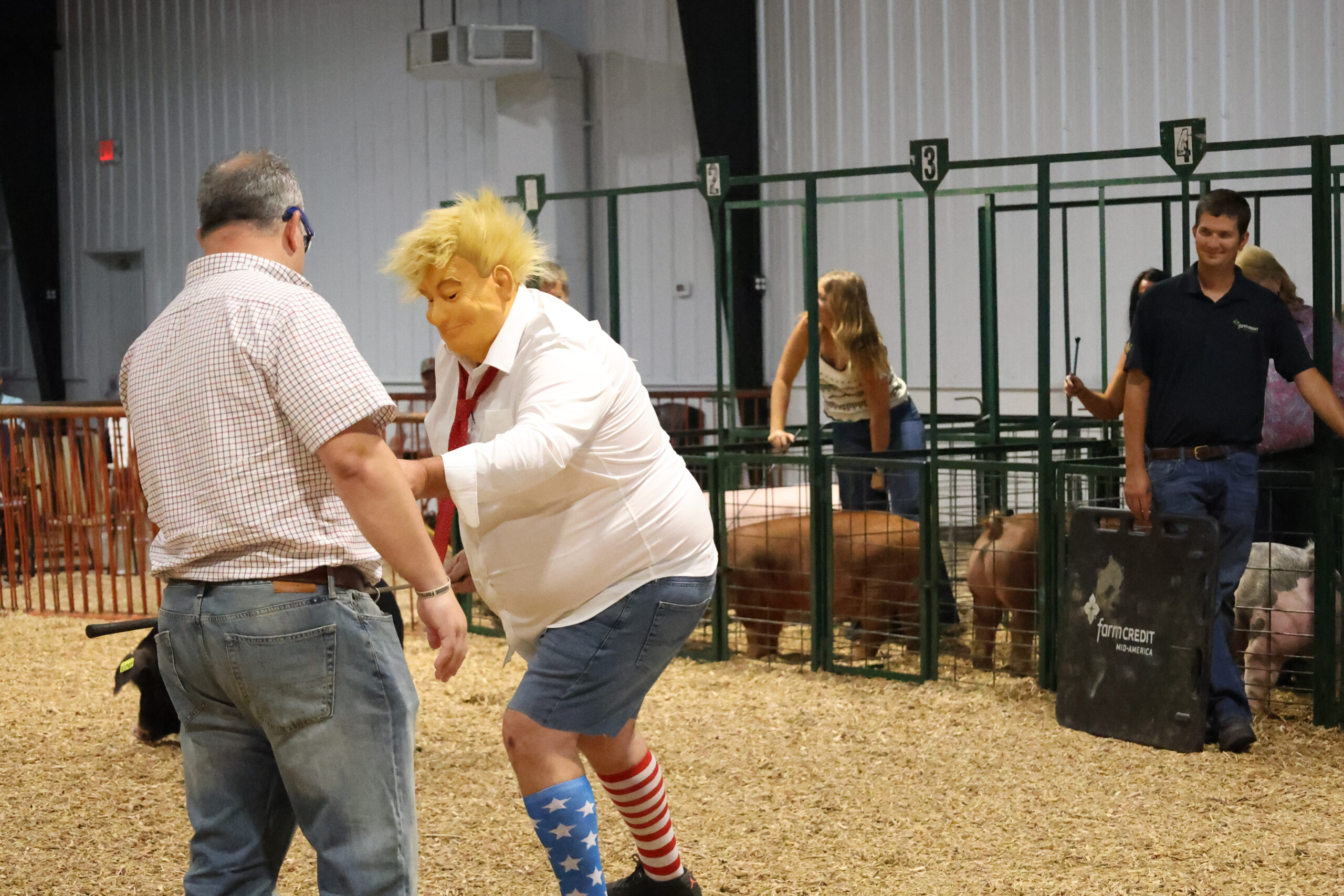 Old Timer's 4-H Swine Show