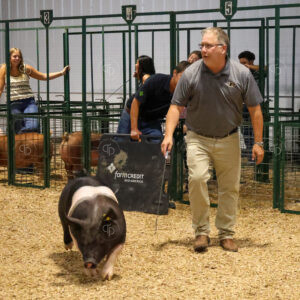 Old Timer's 4-H Swine Show