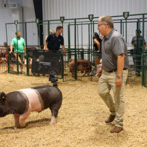 Old Timer's 4-H Swine Show