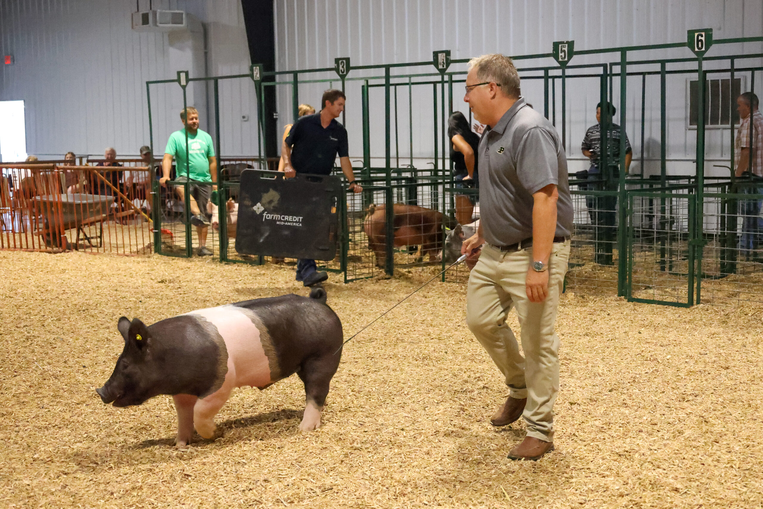 Old Timer's 4-H Swine Show