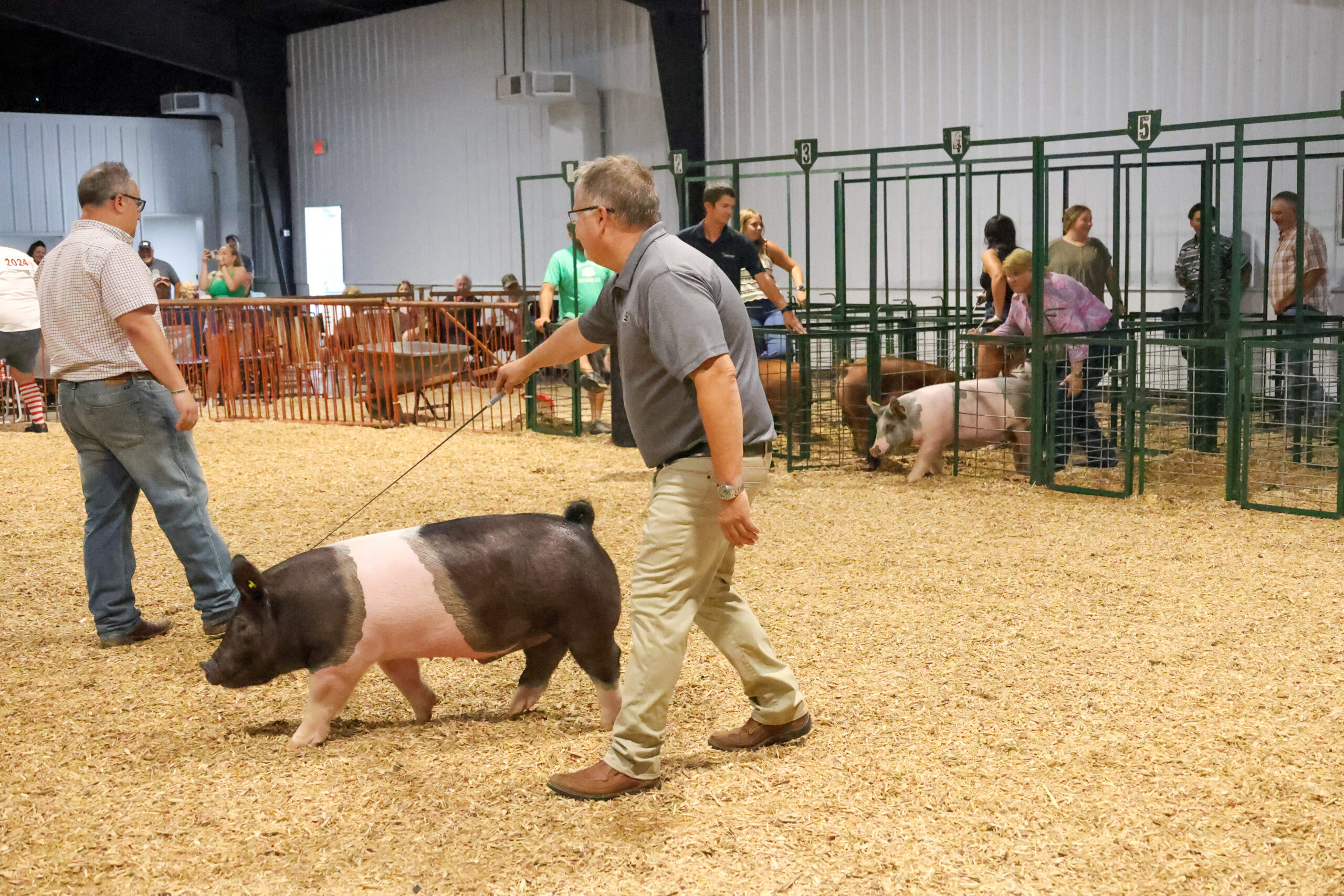 Old Timer's 4-H Swine Show