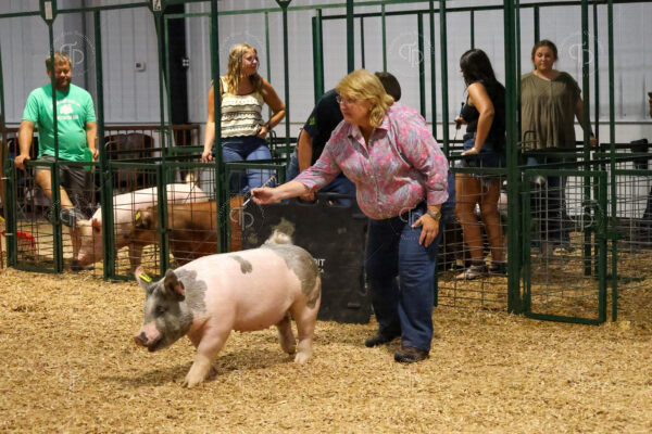Old Timer's 4-H Swine Show