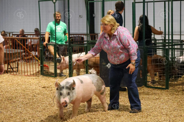 Old Timer's 4-H Swine Show
