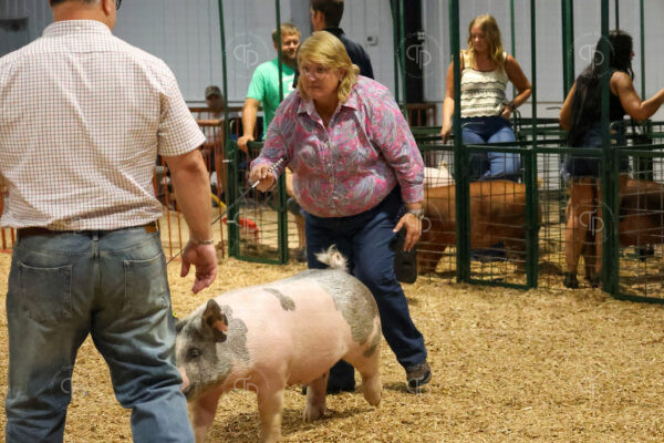 Old Timer's 4-H Swine Show