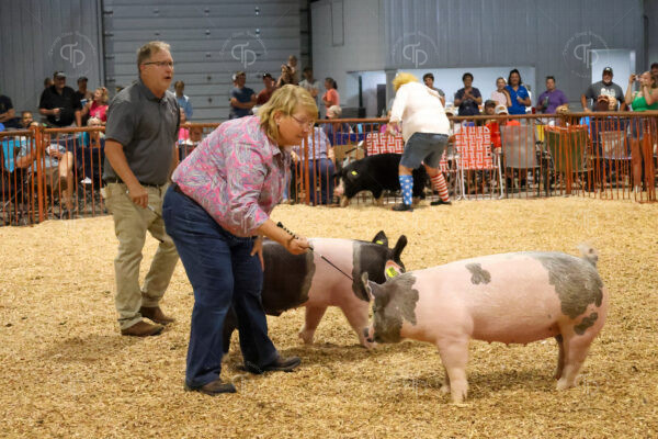 Old Timer's 4-H Swine Show
