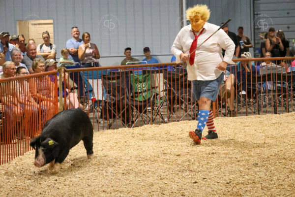 Old Timer's 4-H Swine Show