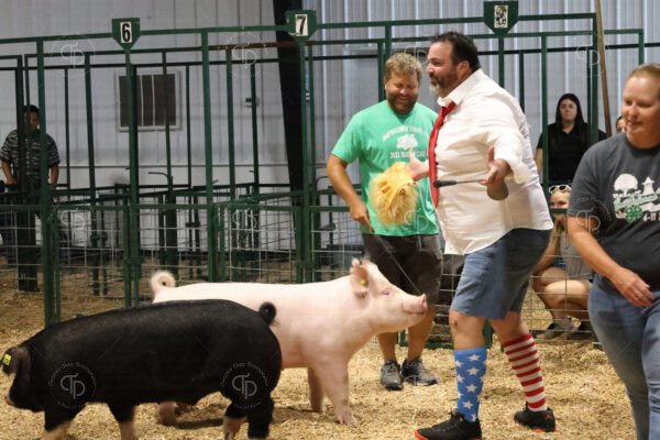 Old Timer's 4-H Swine Show