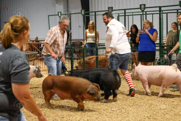 Old Timer's 4-H Swine Show