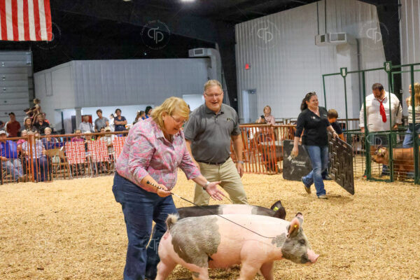 Old Timer's 4-H Swine Show