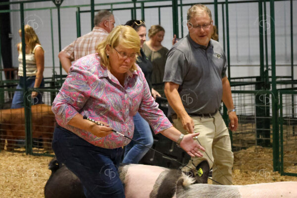 Old Timer's 4-H Swine Show