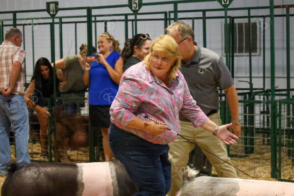 Old Timer's 4-H Swine Show