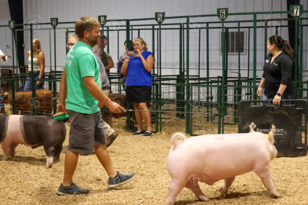 Old Timer's 4-H Swine Show