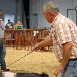 Old Timer's 4-H Swine Show