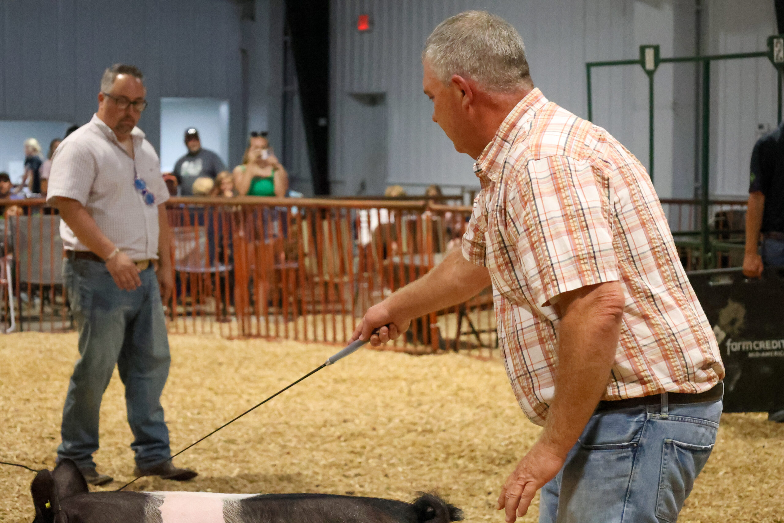 Old Timer's 4-H Swine Show