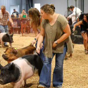 Old Timer's 4-H Swine Show