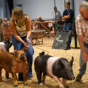 Old Timer's 4-H Swine Show