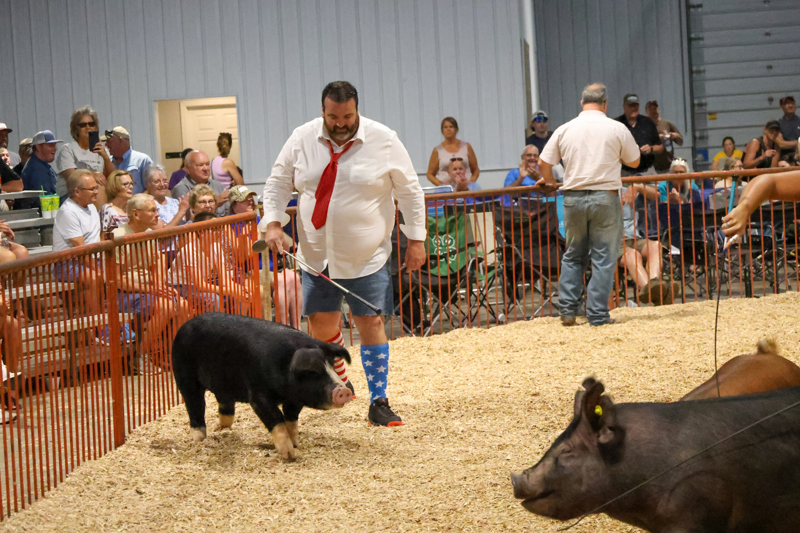 Old Timer's 4-H Swine Show