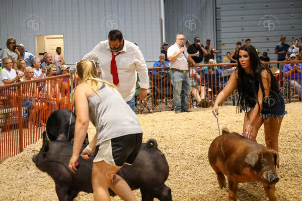Old Timer's 4-H Swine Show