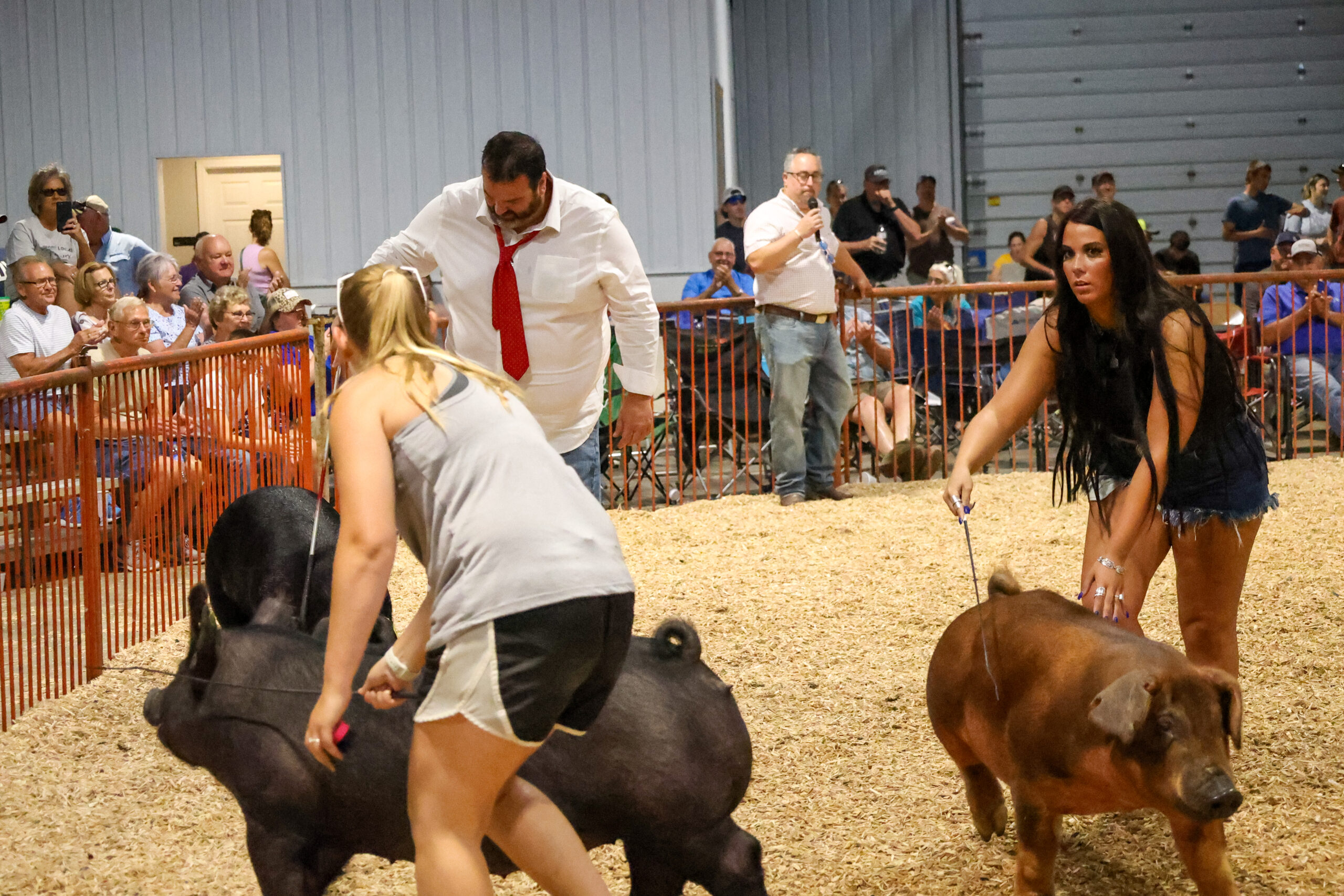 Old Timer's 4-H Swine Show