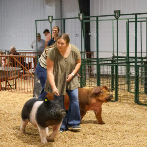 Old Timer's 4-H Swine Show