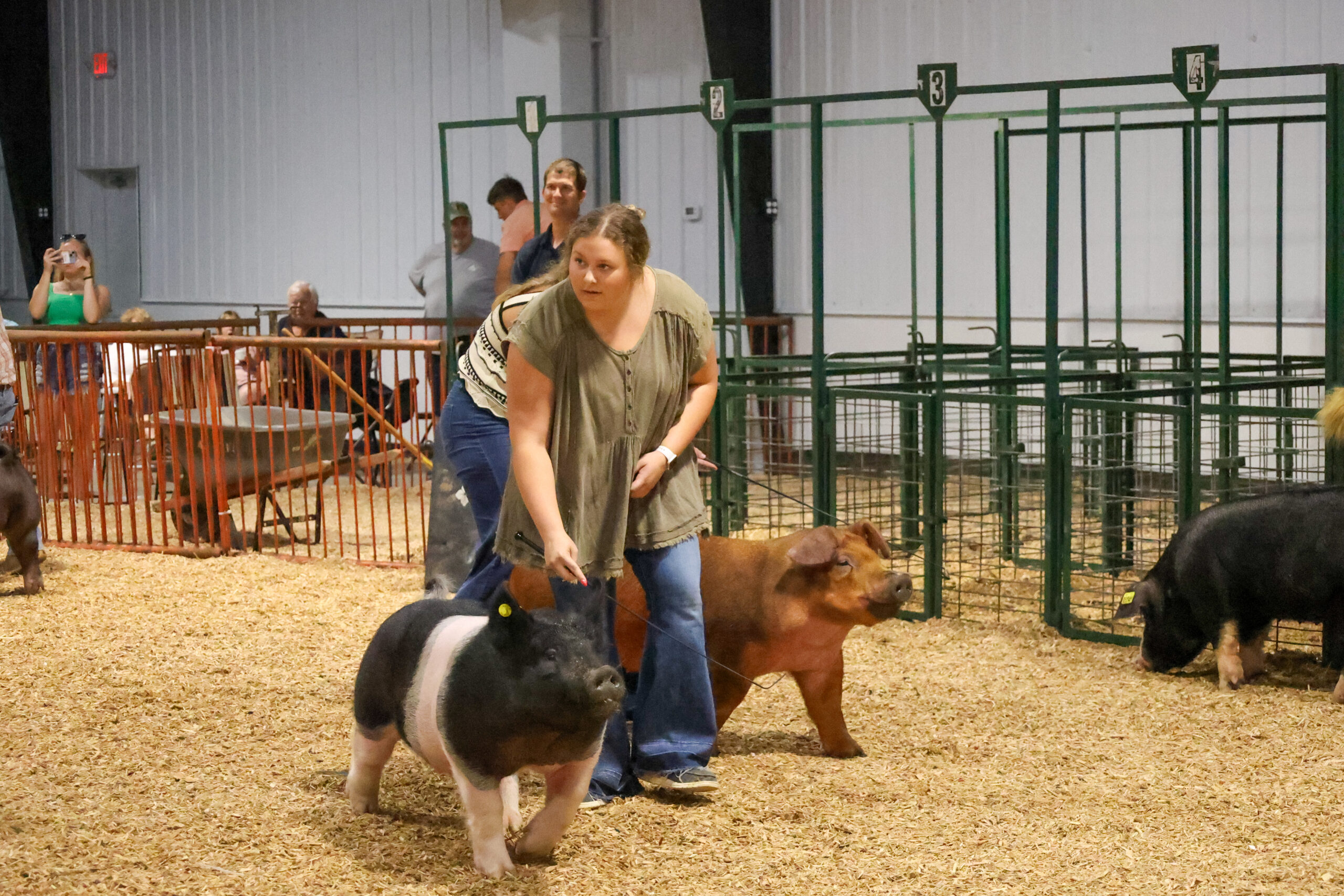 Old Timer's 4-H Swine Show