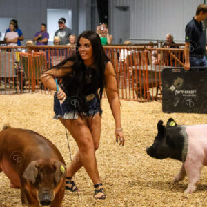 Old Timer's 4-H Swine Show