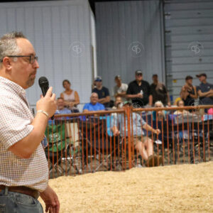 Old Timer's 4-H Swine Show