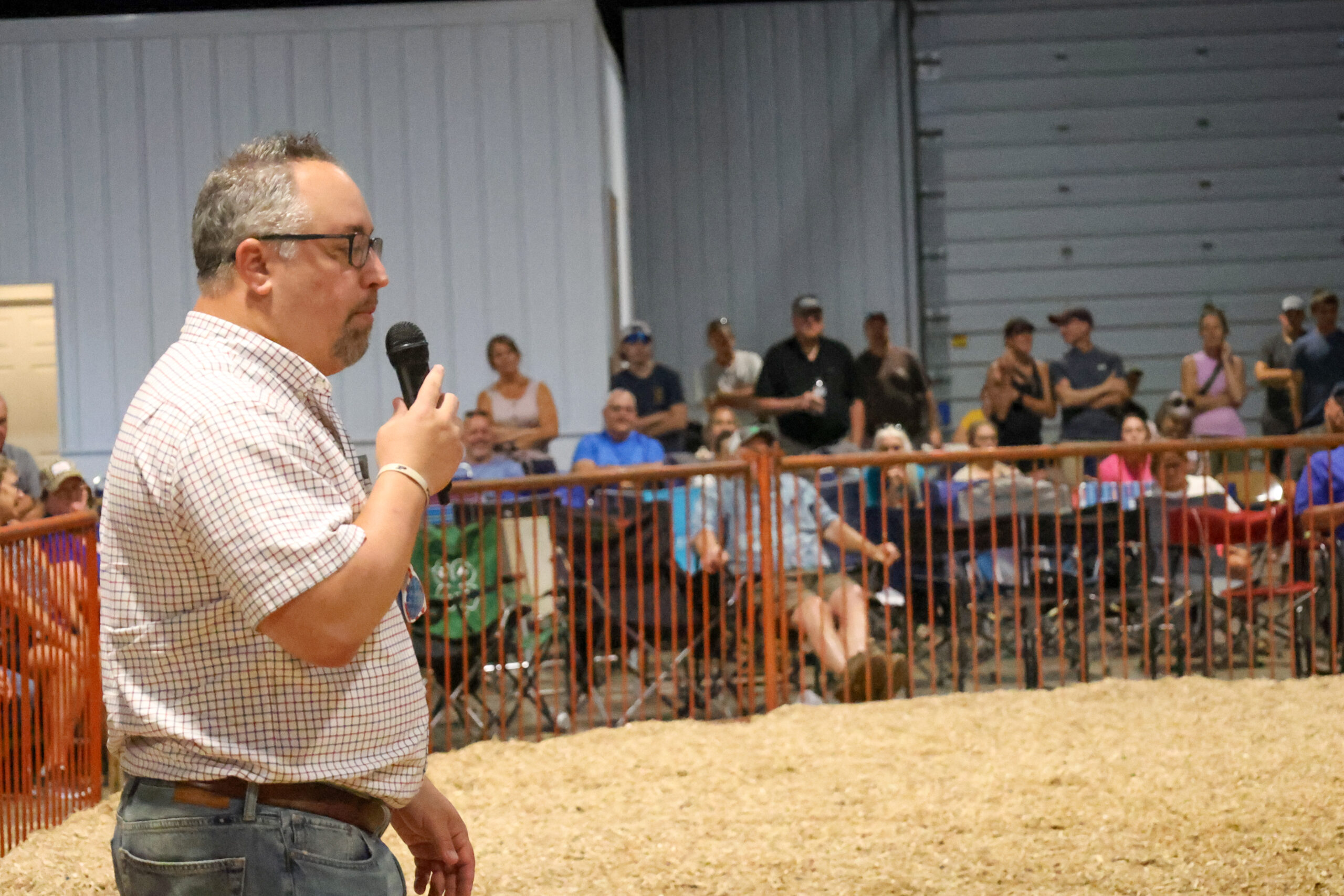 Old Timer's 4-H Swine Show