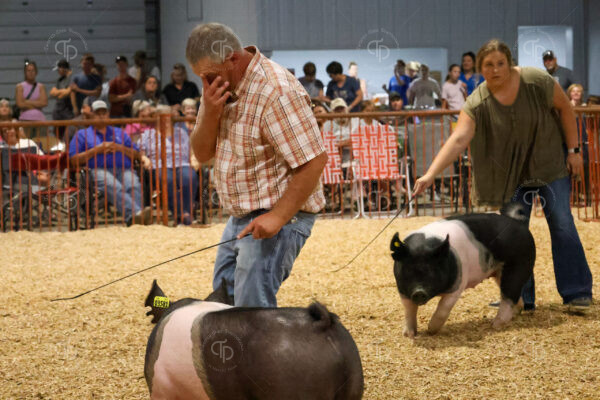 Old Timer's 4-H Swine Show
