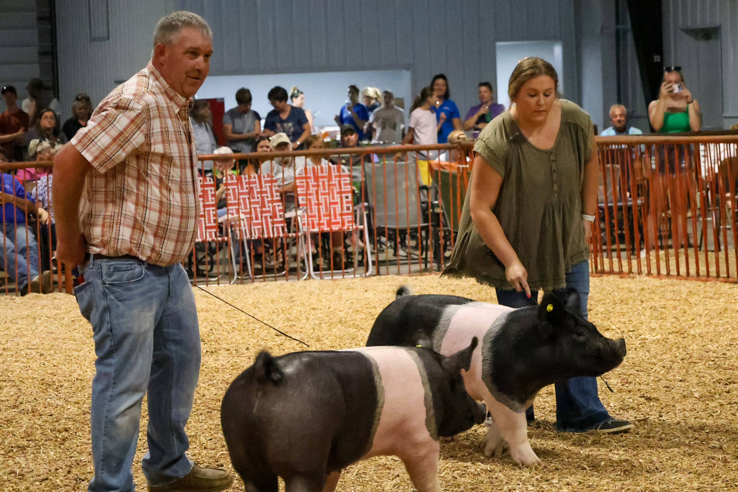 Old Timer's 4-H Swine Show