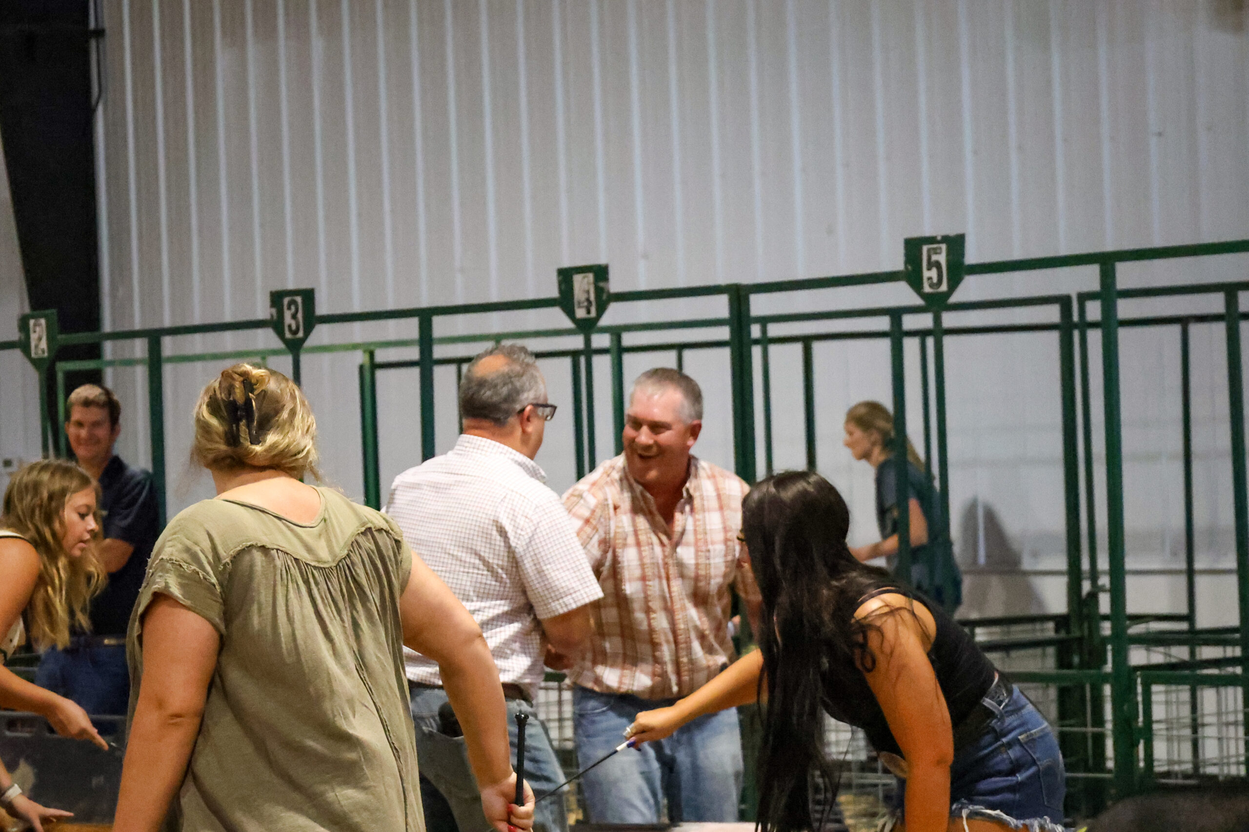 Old Timer's 4-H Swine Show