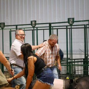 Old Timer's 4-H Swine Show