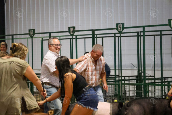 Old Timer's 4-H Swine Show