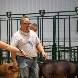 Old Timer's 4-H Swine Show