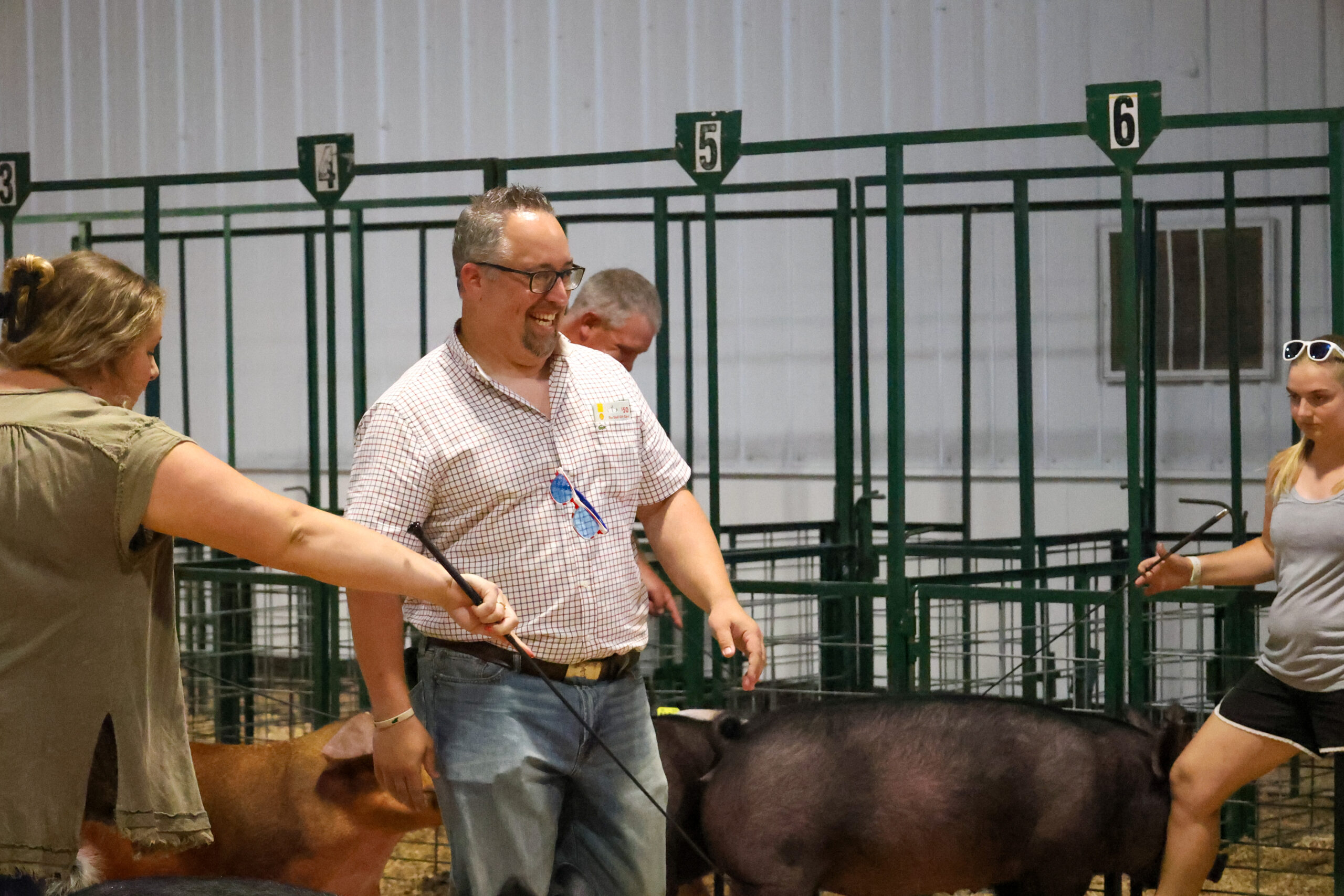 Old Timer's 4-H Swine Show