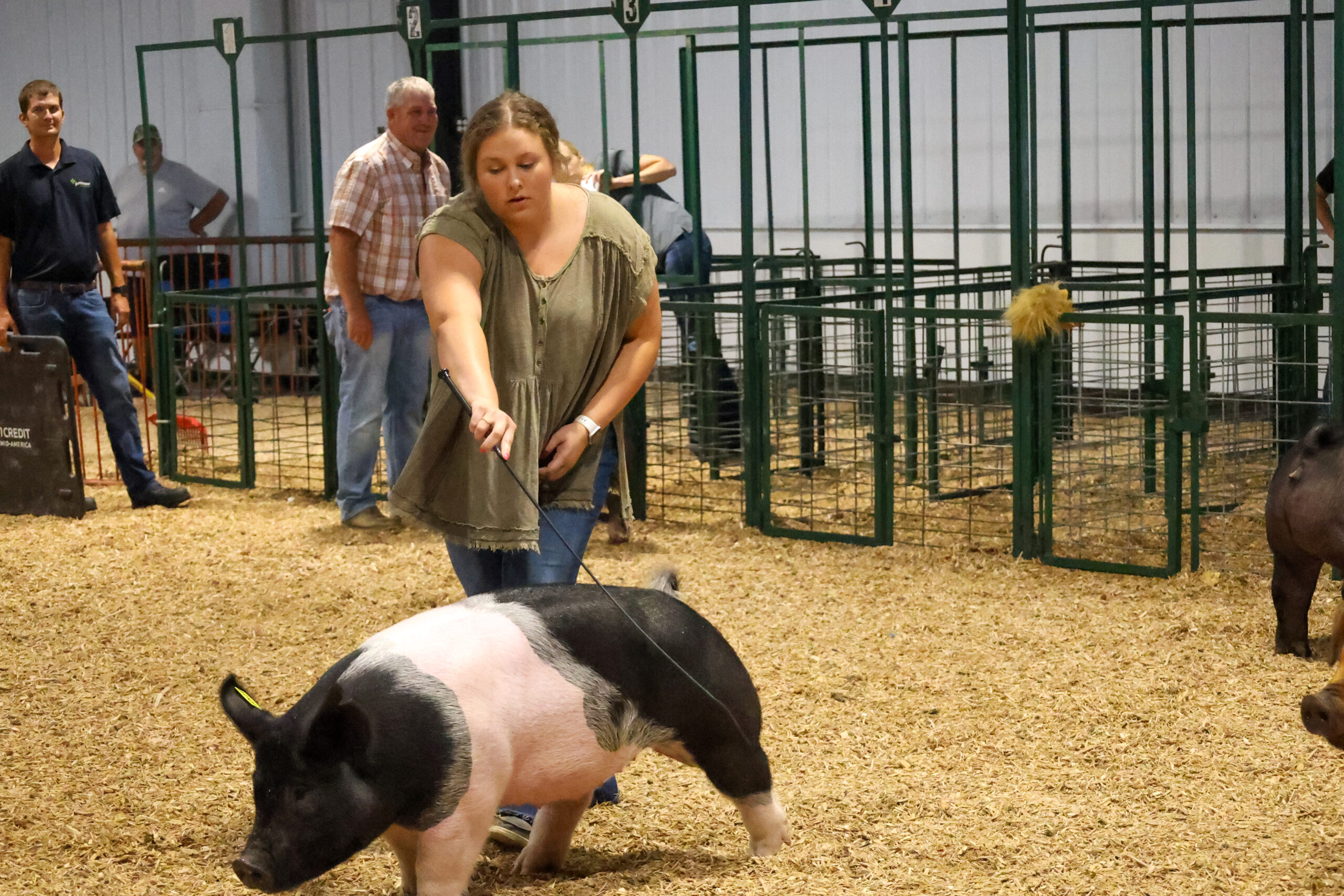 Old Timer's 4-H Swine Show