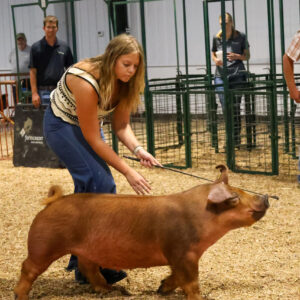 Old Timer's 4-H Swine Show